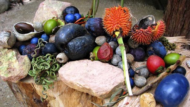 Fruits and nuts found in Mossman Gorge's rainforest.