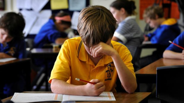 NAPLAN Test results have remained virtually unchanged.