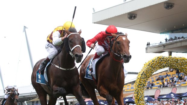 Kiwi pride: Craig Williams rides Volkstok'n'barrell to victory in Saturday's Rosehill Guineas.