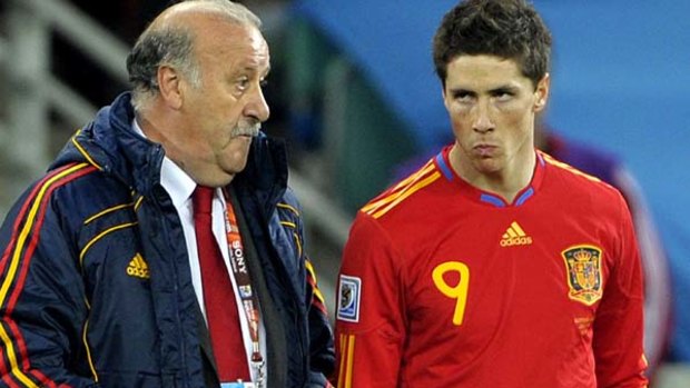 Taking nothing for granted ... Spain coach Vicente Del Bosque speaks to striker Fernando Torres.