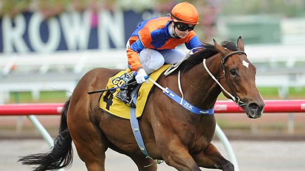 Jamie Kah rides Worth A Ransom to victory in the Vobis Gold Reef at Flemington on Saturday.