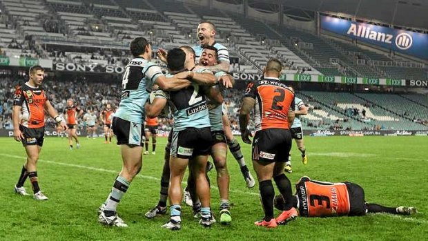 Toothless Tigers: Cronulla players celebrate a try.