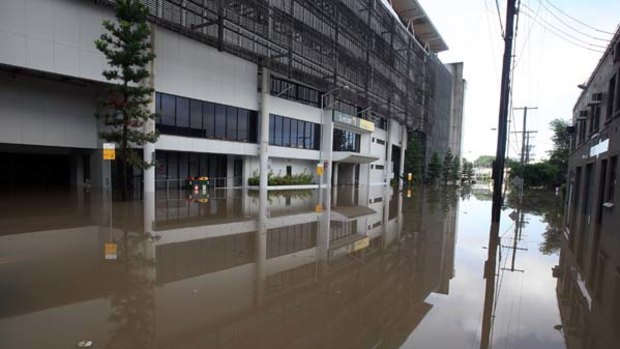 Suncorp Stadium this morning.