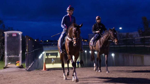 It's A Dundeel, left, walks off the track after a trackwork session at Flemington.