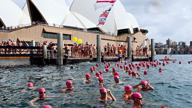 A touch of danger...competitors get ready for the Sydney Harbour Swim Classic at the Man O'War steps yesterday.