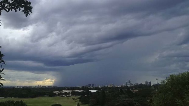 A fast-moving storm created strong winds and heavy rain in the western suburbs on Friday.