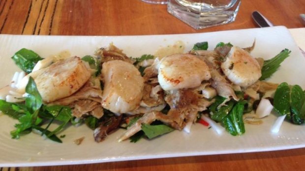 Scallops on coconut salad - or possibly a bed of shredded duck.