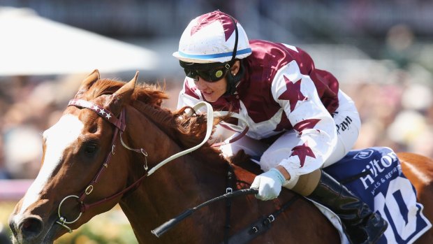 Son shine: Palentino returns after last month's Australian Guineas victory.