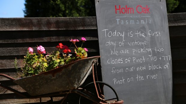 A sign of the times at Holm Oak vineyard, Tasmania.