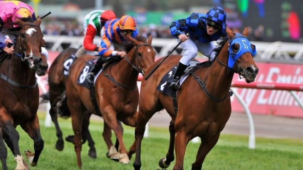 Taking on the best: Buffering is ready for a showdown with the world's top sprinter, Lankan Rupee, at Moonee Valley on Friday night.