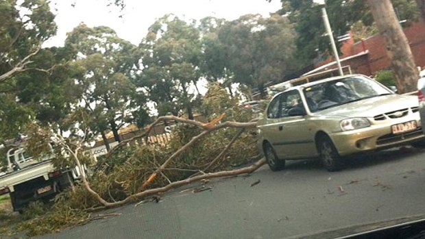 Reader Caroline Lambert snapped this photo at Box Hill yesterday afternoon. "Lucky escape?" she wrote? We agree!