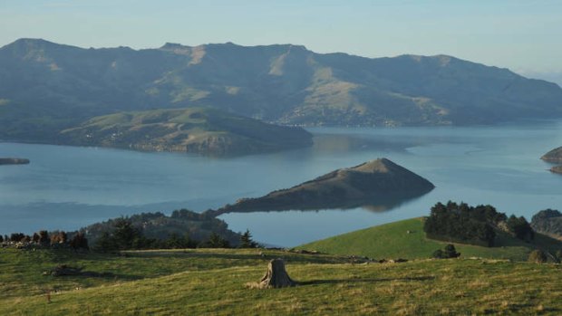 Tour de France: Akaroa Harbour.