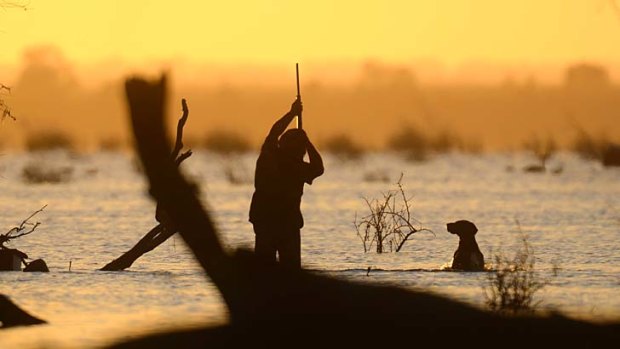 First hunt by licensed amateurs in a NSW national park set to take place.