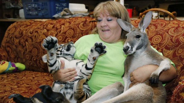 New home: Christie Carr with Irwin the kangaroo and Larsen, a baby tiger, at their new home at the Garold Wayne Interactive Zoological Park.