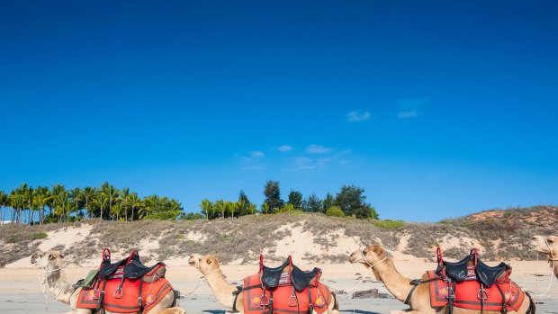 One of Broome’s most popular attractions is the camel train running on the 22-kilometre-long Cable Beach.