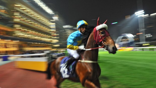 The famed Happy Valley track is home to the Hong Kong Jockey Club.