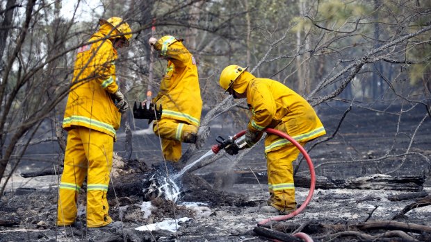 City slickers: with warnings of extreme bush fire danger this summer, Melburnians should plan their city and holiday safety, experts warn.