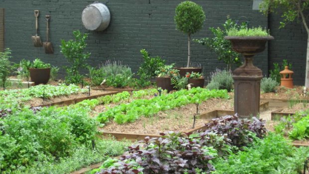 Meals or wheels? Chiswick's kitchen garden is thriving.