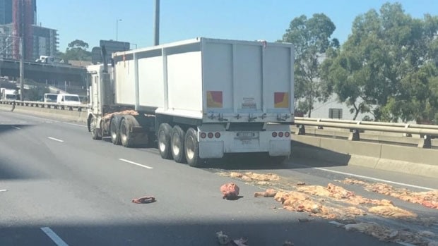 Animal parts fell off the truck. Picture: Radio station 3AW