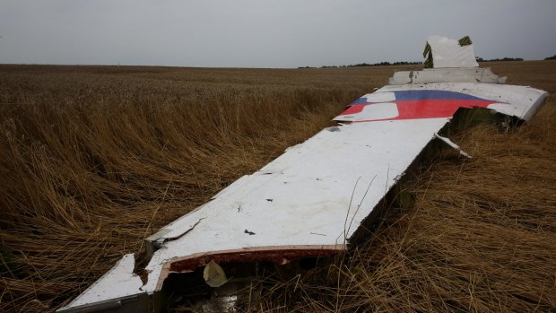 MH17 crash site. 