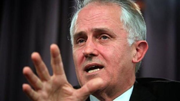 Communications Minister Malcolm Turnbull has reiterated that he is not the "minister for right-wing communications".