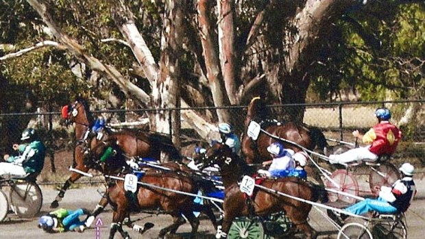 World's top racing harness driver Kerryn Manning curls up in emergency position during a recent fall. 