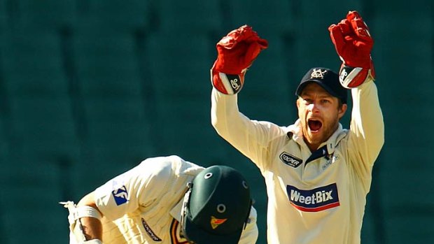 Matthew Wade's batting prowess was the key to Victoria making him first-choice wicketkeeper.