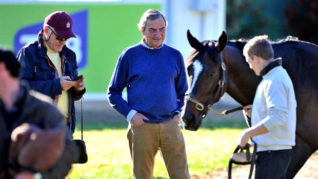 "I've been coming seven years now. The horses I brought in the first three years couldn't make the cut now" ... trainer Luca Cumani, centre.