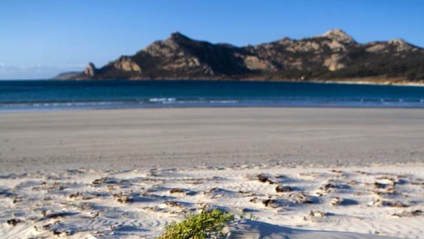 Girt by sea ... the view across Killiecrankie Bay on Flinders Island.