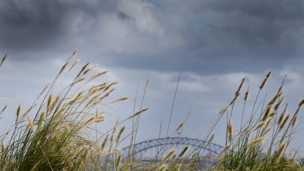 Sydney's seemingly endless summer is making way for autumn - at last.