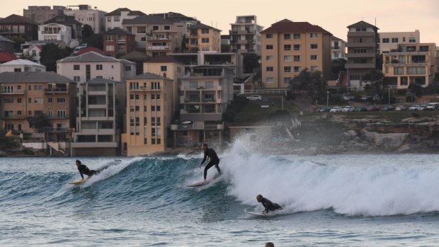 Moving to Sydney's eastern suburbs? Here's what you'll have to do to fit in