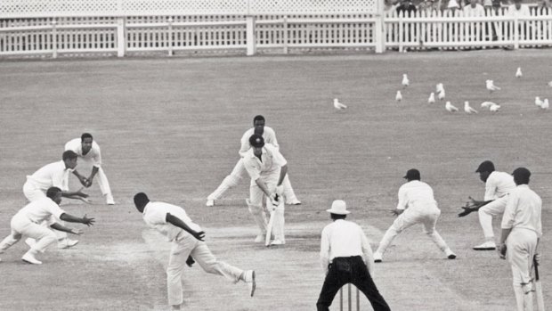 The drawn Test in Brisbane, 1960-61.
