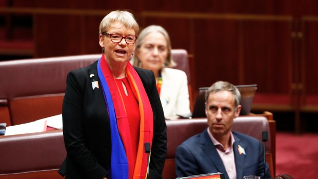 Senator Janet Rice during Question Time in the Senate at Parliament House in Canberra on Wednesday 15 November 2017. fedpol Photo: Alex Ellinghausen