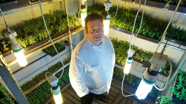 Solution ... chef Peter Gilmore in his growing room.