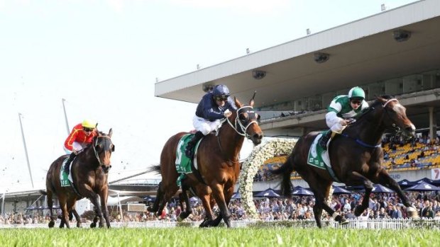 Acceleration: Tim Clark rides Cluster (right) to victory in the Theo Marks Stakes at Rosehill on Saturday.