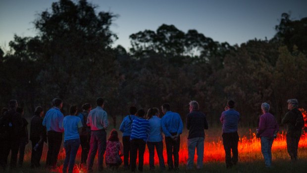 Wild night: Sanctuary ecologist Kate Grarock leads a torchlight tour at Mulligans Flat.
