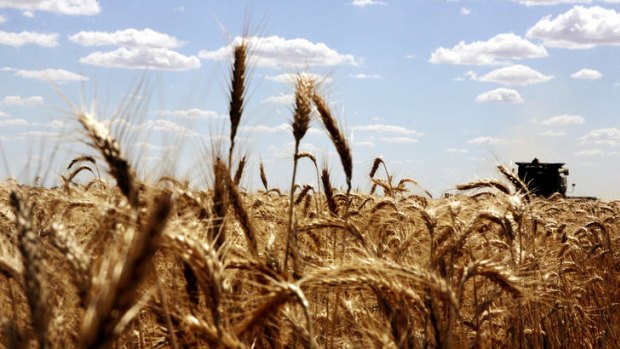 Wheat Exports Australia is expected to be wound up around September.