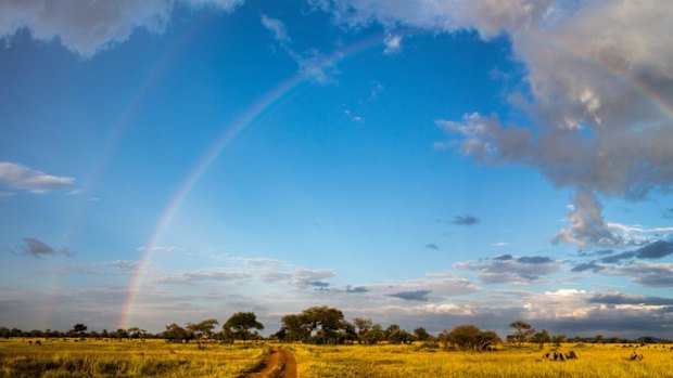 Circle of life ... the Masai Mara, Kenya.