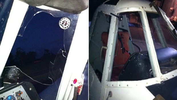 The damage made when a bat collided with Josh Liddle's plane.