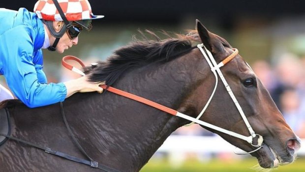 In style: James McDonald and La Amistad win the McKell Cup at Randwick on Saturday.