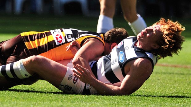 Grounded: Hawthorn sent  Geelong packing in the 2008 decider.