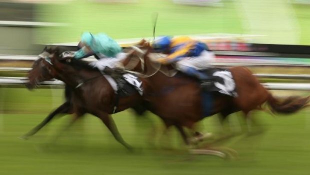 In a flash: Estonian Princess (yellow and blue) surges to victory in the James Carr Stakes at Randwick on Saturday.