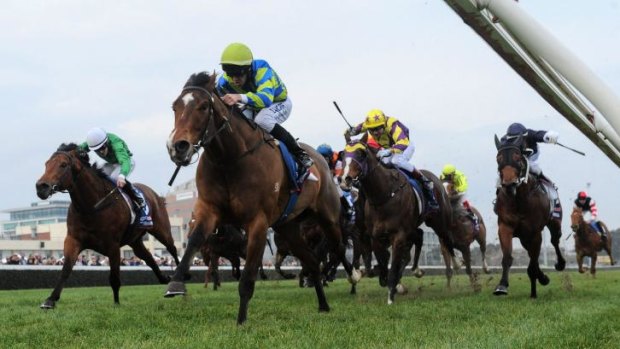 Get The Nod, Joe Bowditch up, wins the Environmental Vain Stakes on Saturday.