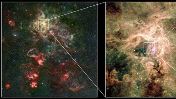 Young and hot stars in the Tarantula nebula.
