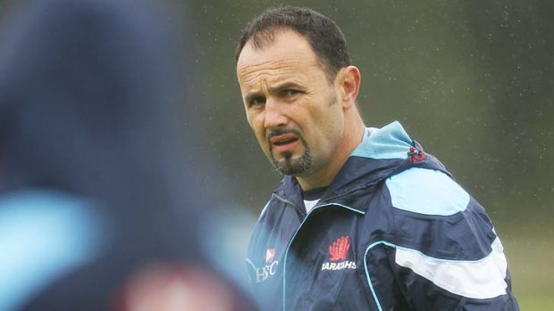 Michael Foley has been appointed as the new coach of the Western Force Super Rugby side.