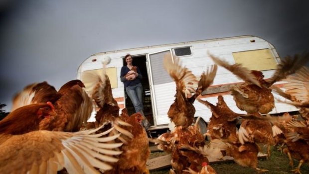 Emma Brown with her free-roaming chooks.