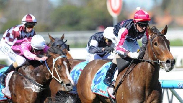 Worth a punt: Vain Queen is clearly the best bet on Saturday’s rich Flemington program