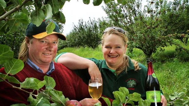 Apple grower Sid Cairns and Cider maker Lisa Cresswell with a tree of ripe Kingston Blacks at Seven Oaks Farmhouse Cider Orchard.