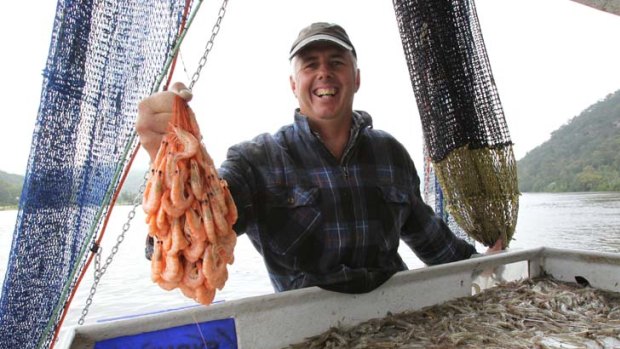Back to school ... Hawkesbury River prawn fisherman Gary Howard has refused to cook a catch this Christmas due to the small size of specimens caused by the recent unseasonal cold weather.