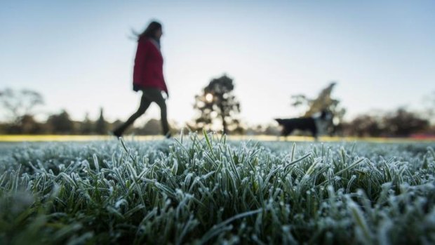 Melbourne endures a frosty near zero temperature morning at Princes Park.